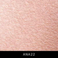 ANA22