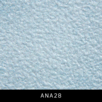 ANA28
