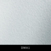 DMA1