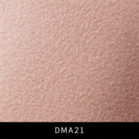 DMA21