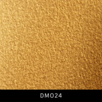 DM024