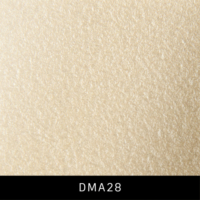 DMA28