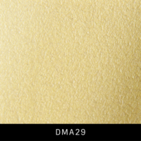 DMA29