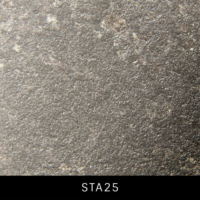 STA25