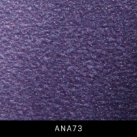 ANA73