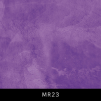 MR23