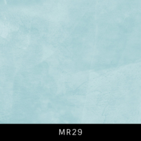 MR29