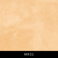 MR31