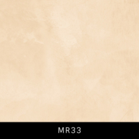 MR33