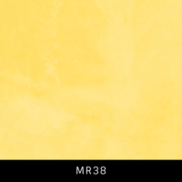 MR38