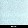 RAA10