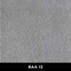 RAA13