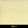 RAA2