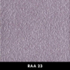 RAA23