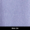 RAA24