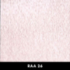 RAA26