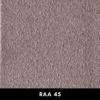 RAA45