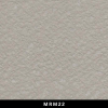 MRM22